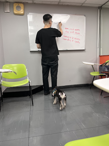 Photo from customer review