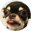 j.c chung profile picture
